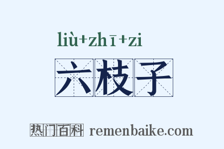 六枝子是什么意思的图片